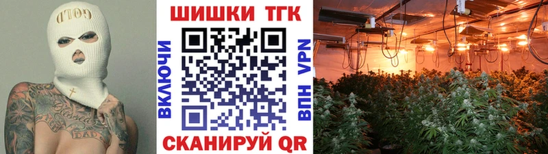 Купить наркотики цена Спасск-Рязанский Каннабис  Псилоцибиновые грибы  Cocaine  ГАШИШ  МЕФ 