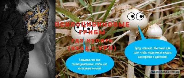 ешки Аркадак
